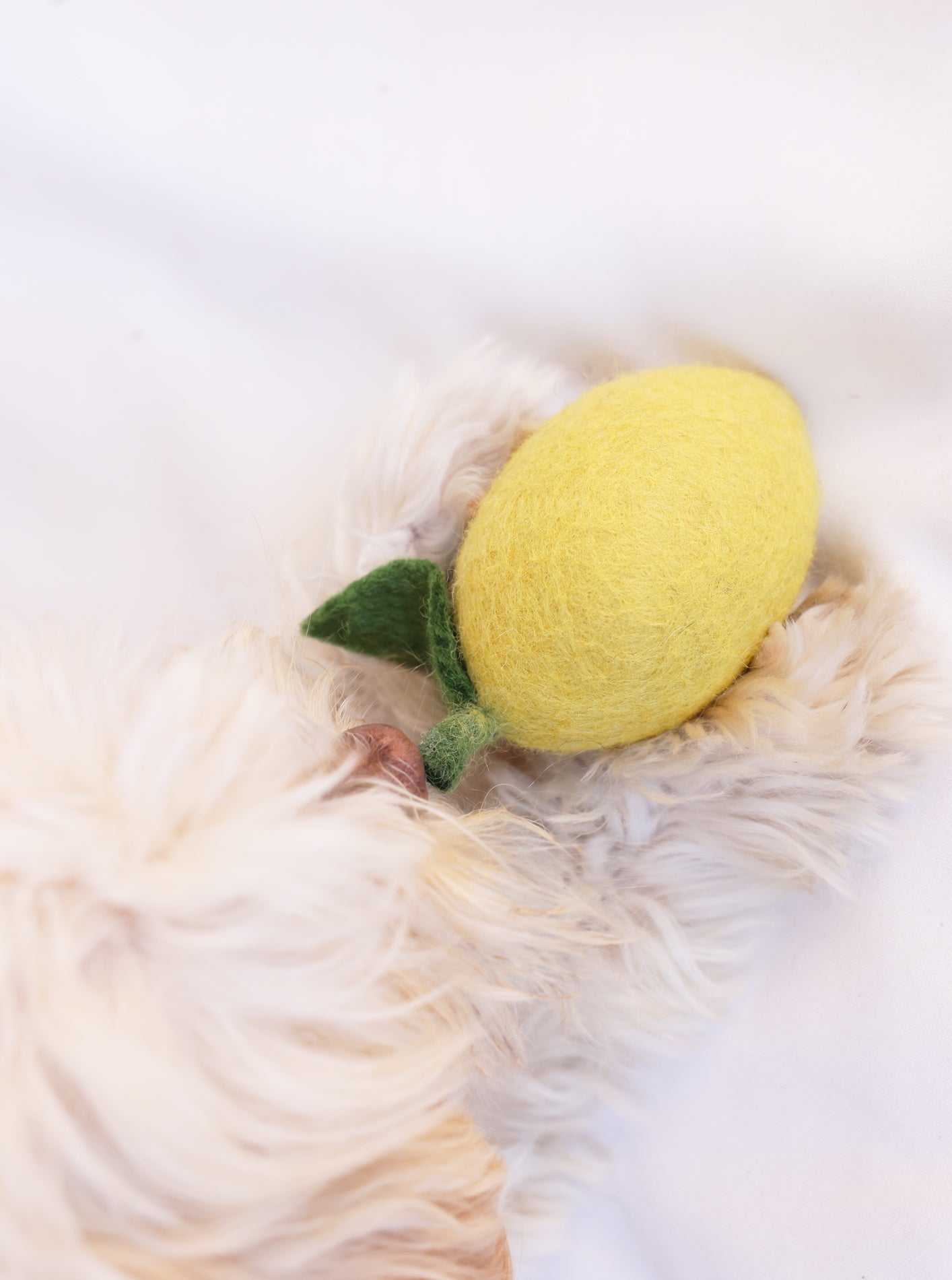 LEMON WOOL DOG & CAT TOY