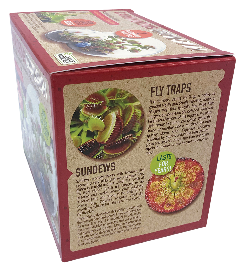 Carnivorous Growarium Meat-Eating Seed Terrarium Kit