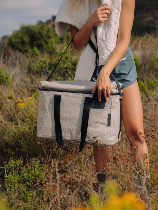 Seagull Trunk Cooler