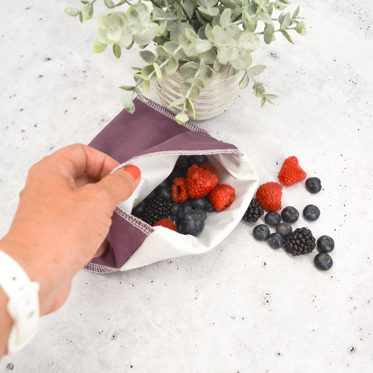 Snack Bag: Linen