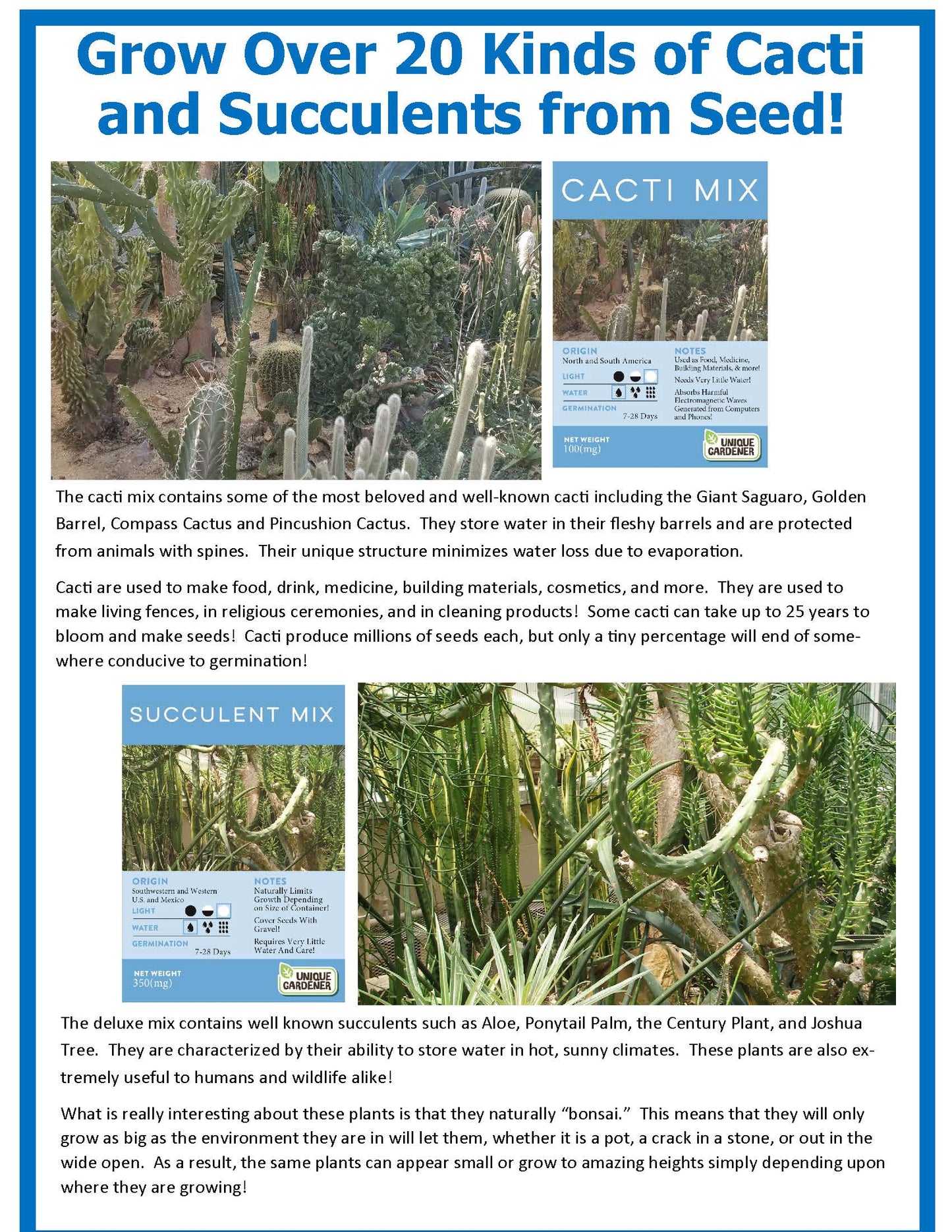 Desert Escape Growarium Succulent and Cacti Seed Terrarium Kit