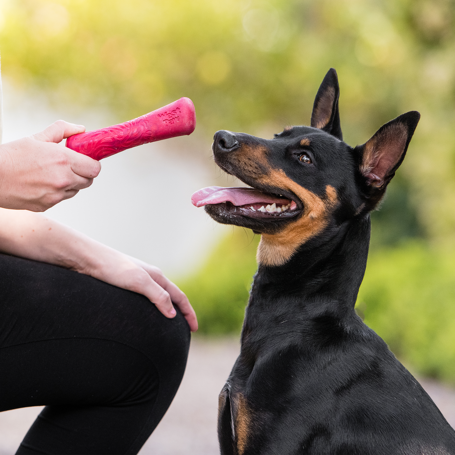 Drifty Dog Toy