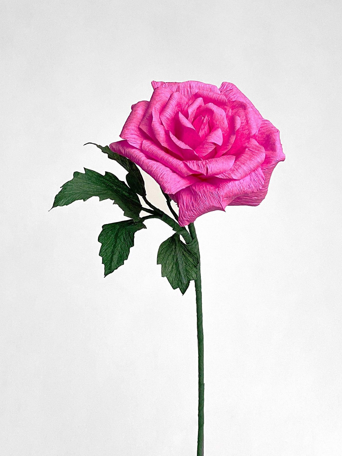Classic Rose | Paper Flower Stem