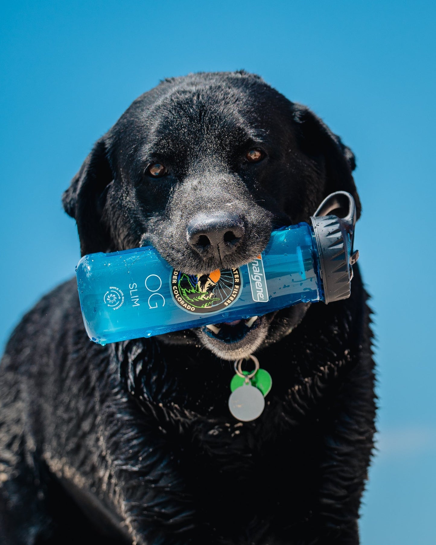 Nalgene OG Slim Water Bottle | 24 oz