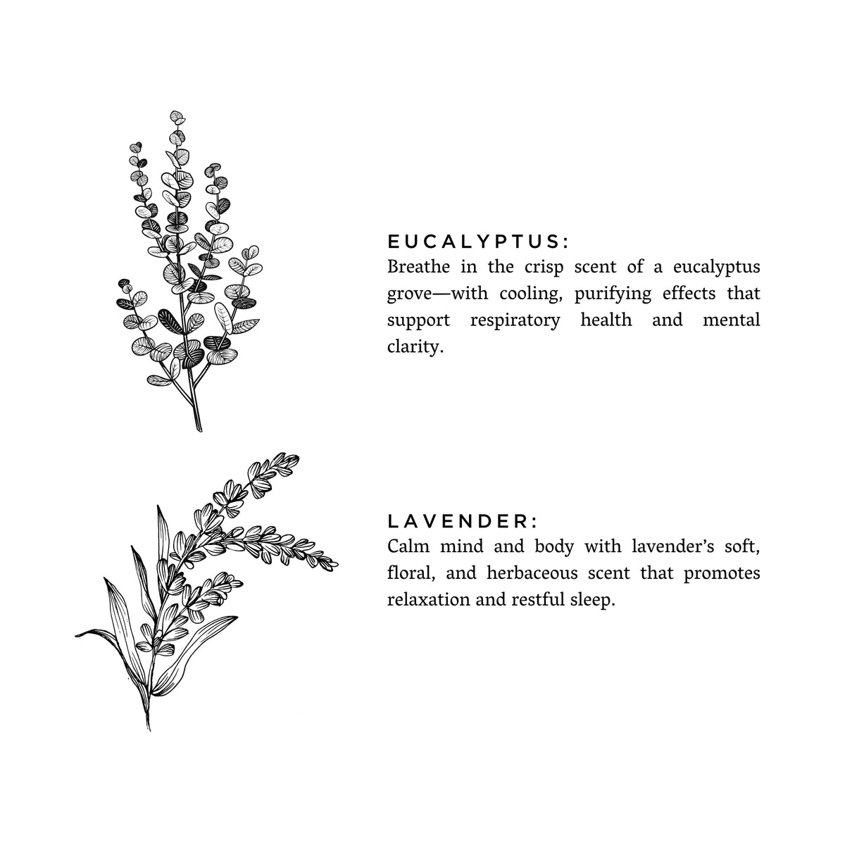 Eucalyptus + Lavender Travel Tin Candle