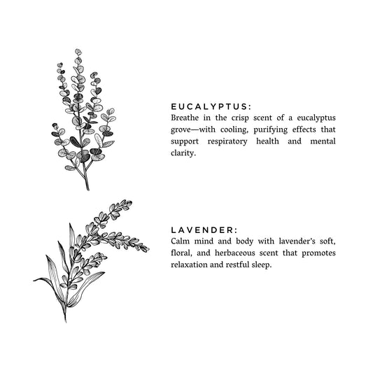 Laundry Powder - Eucalyptus + Lavender