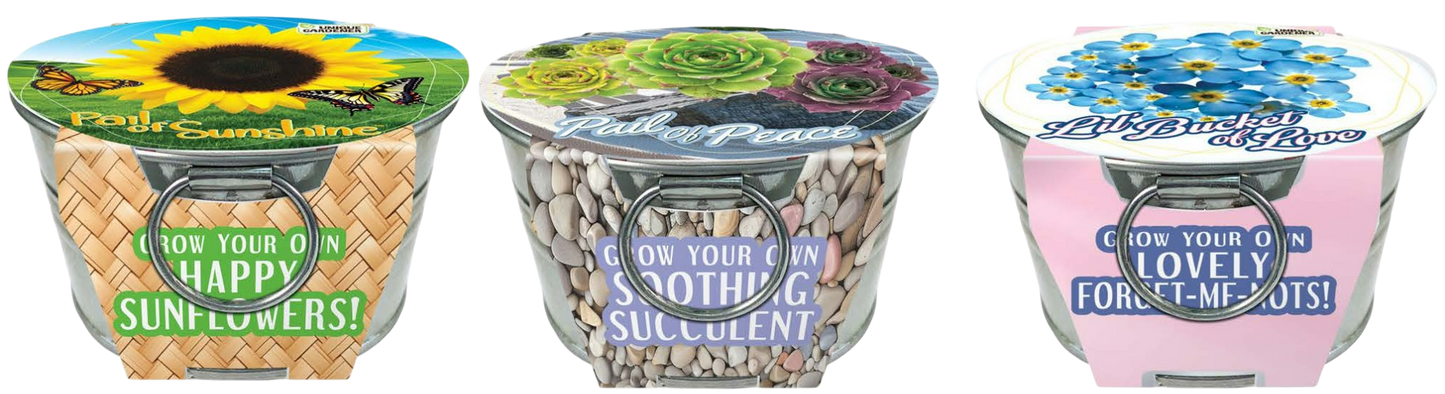 Flowering Tin Garden Variety Pack - 1 Each of 3 Varieties
