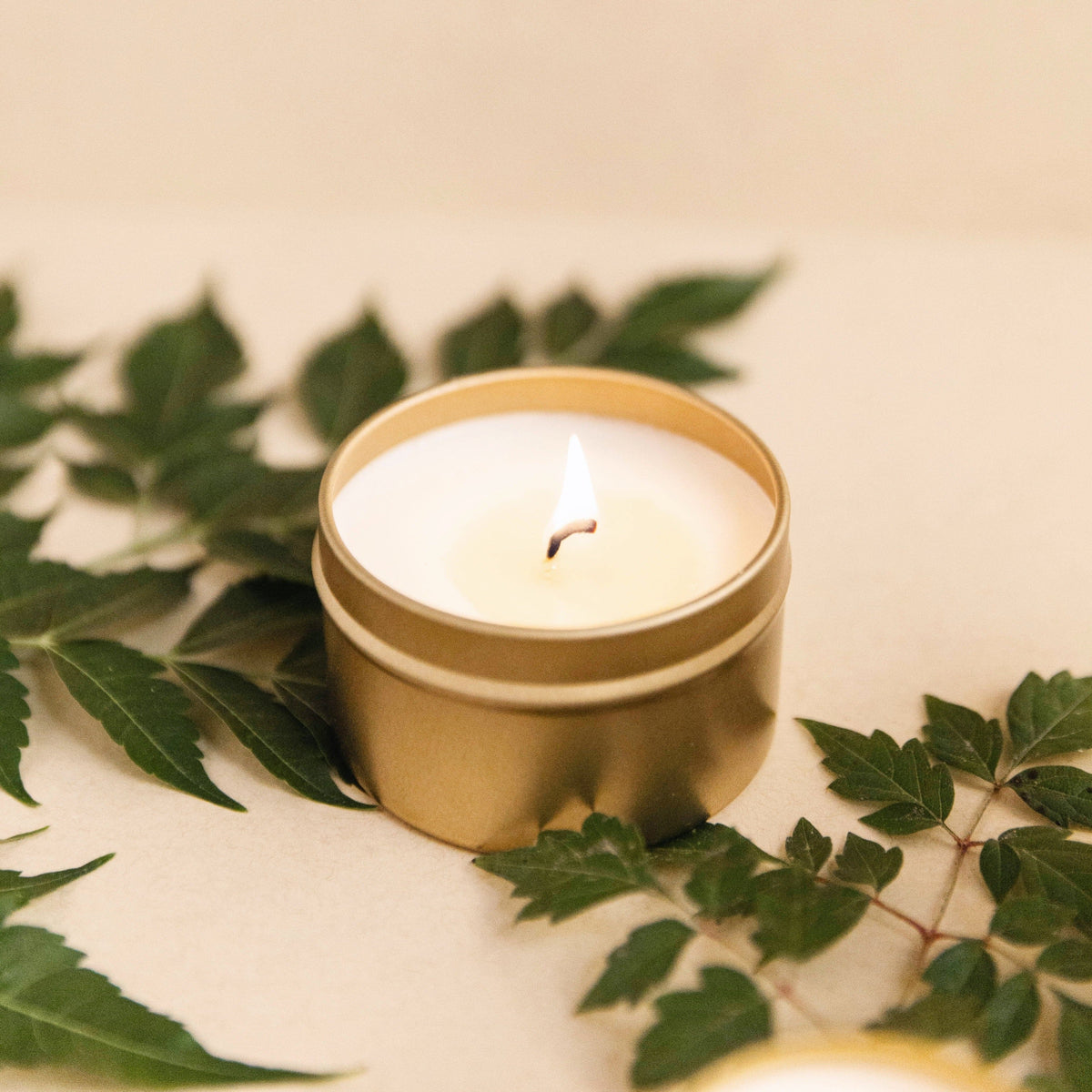 Forest Bathing - Fir + Pine + Patchouli Travel Tin Candle