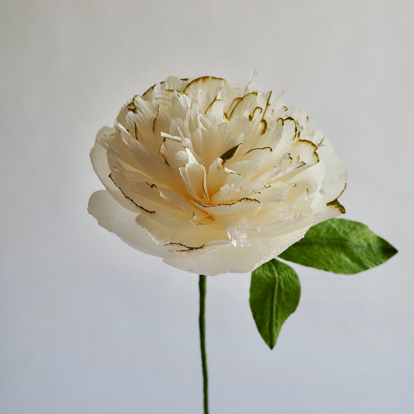 Hand Painted Garden Peony Single Bloom, Limited Edition | Paper Peony Stem
