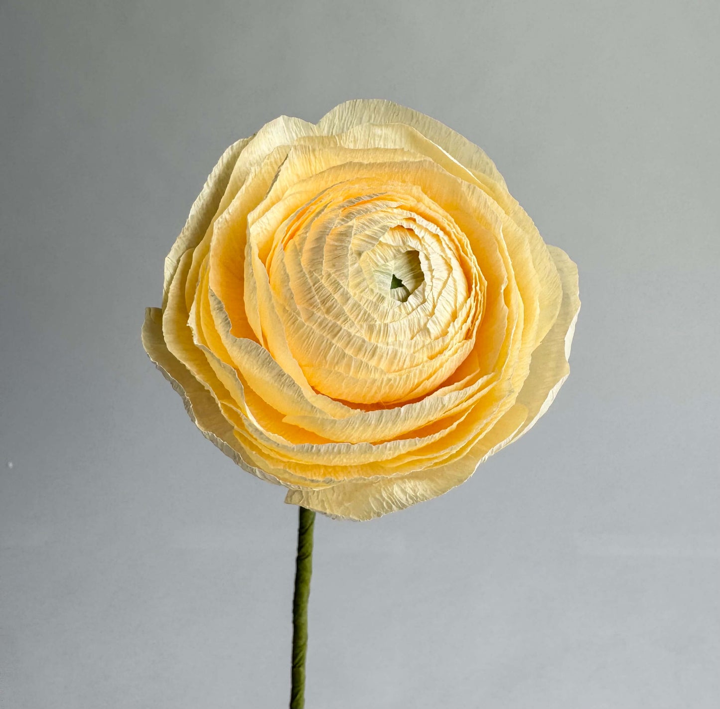 Ranunculus Single Stem | Paper Flower Decor