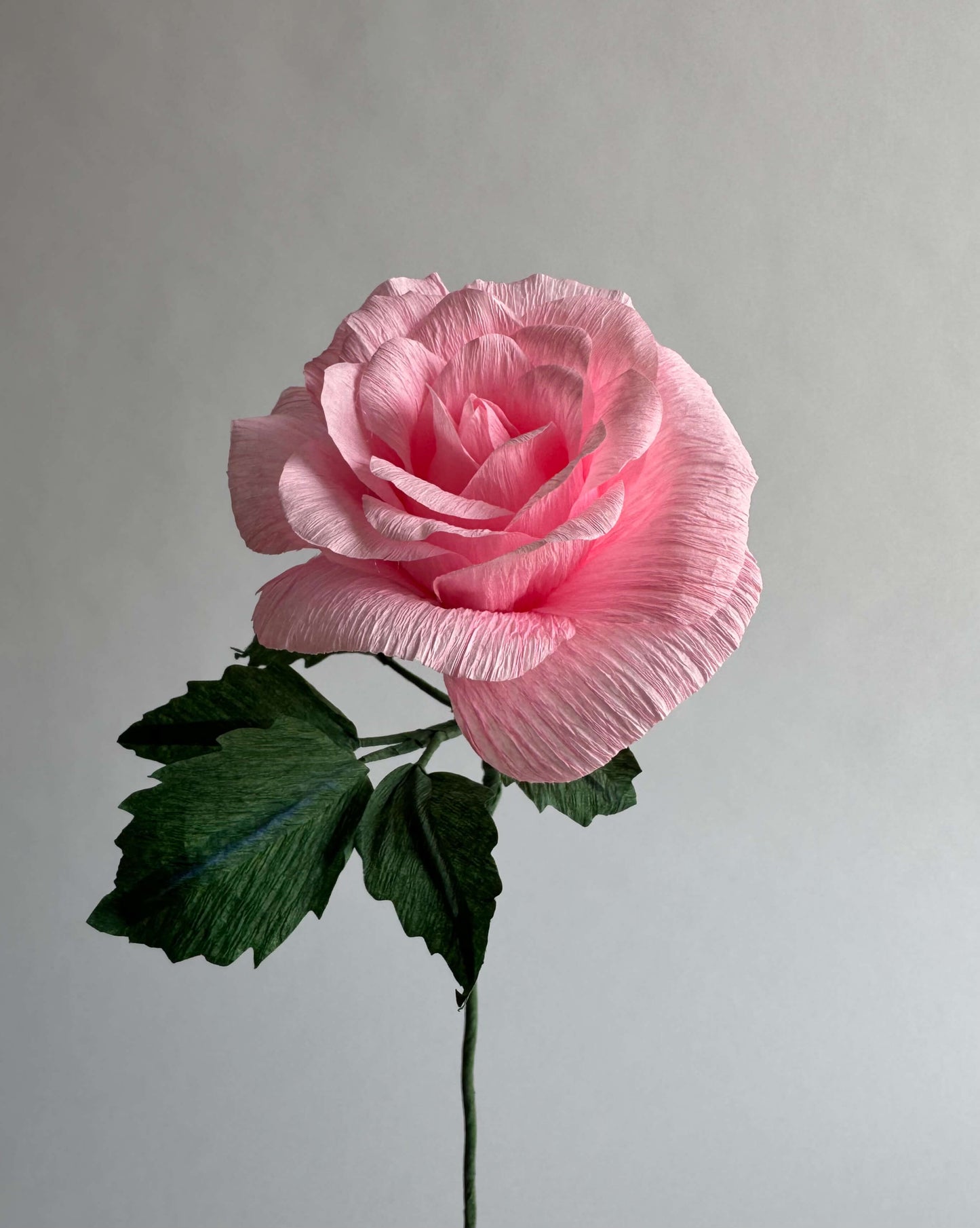 Classic Rose | Paper Flower Stem