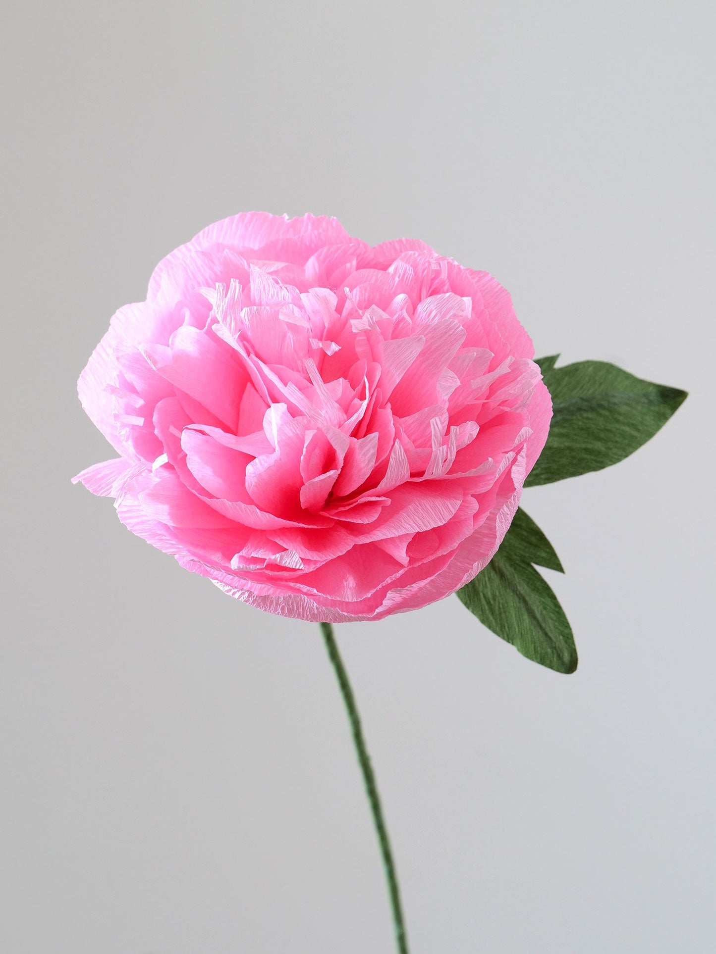 Garden Peony Single Stem | Handcrafted Paper Flower