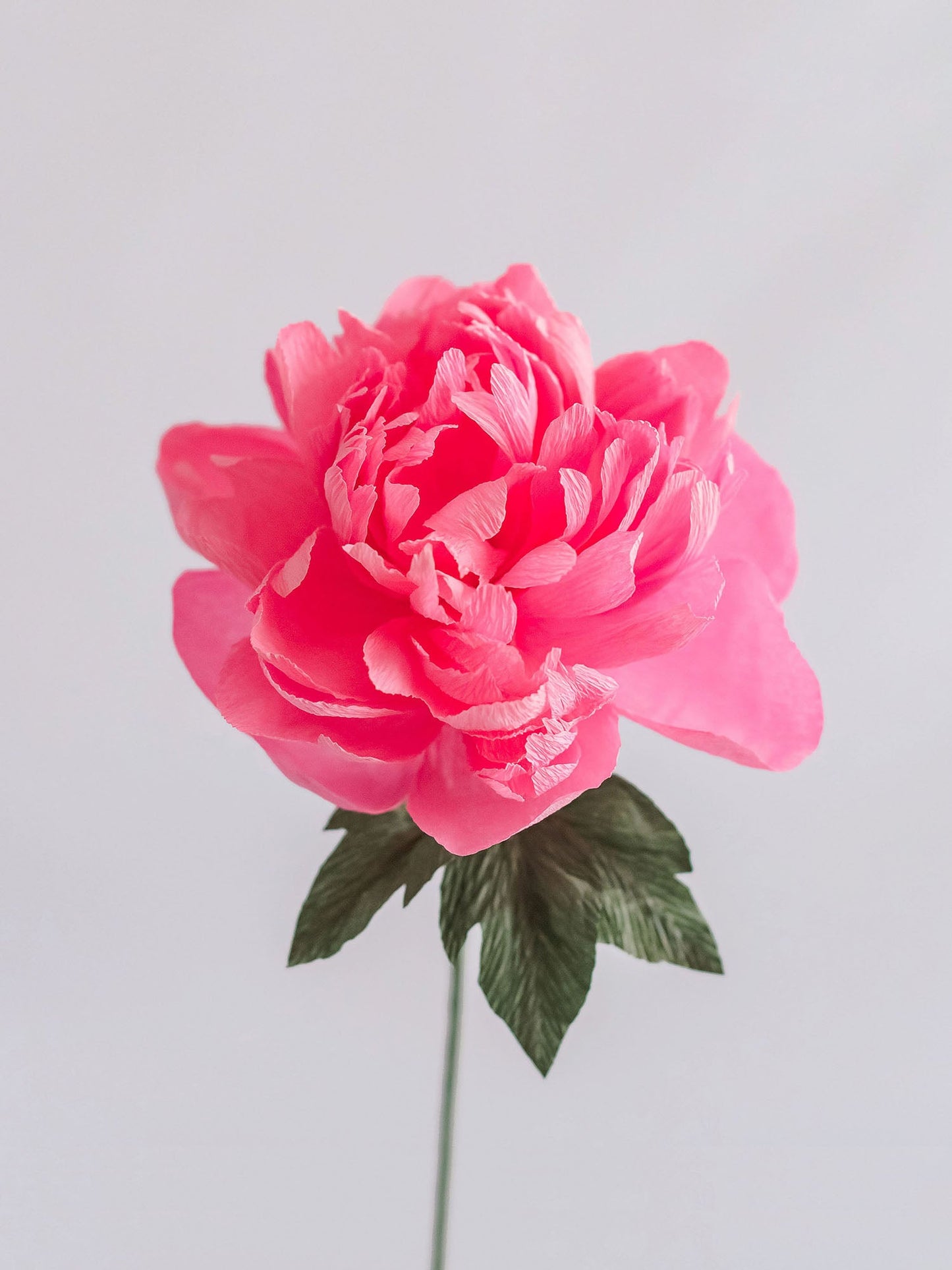 Garden Peony Single Stem | Handcrafted Paper Flower