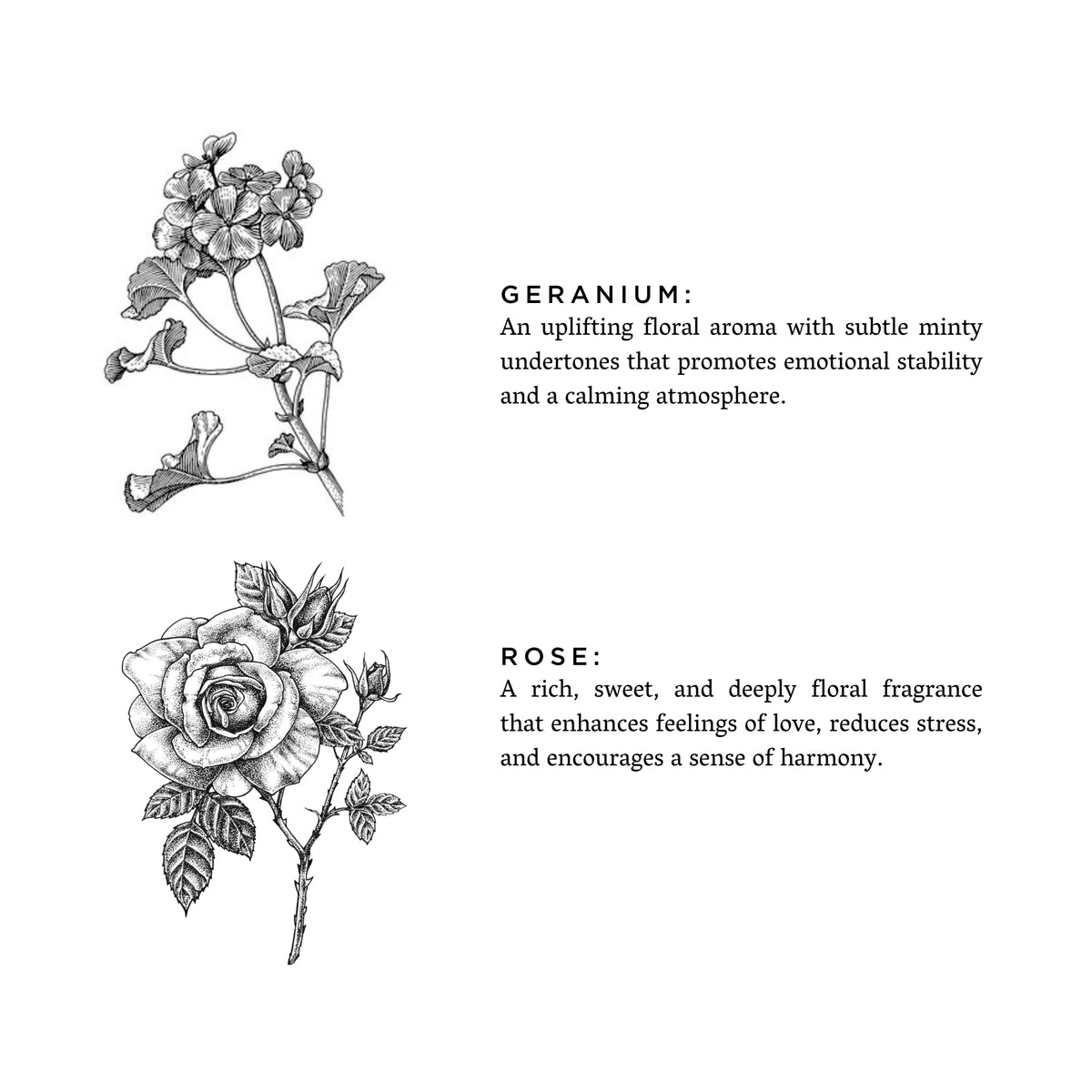 Geranium + Rose Travel Tin Candle