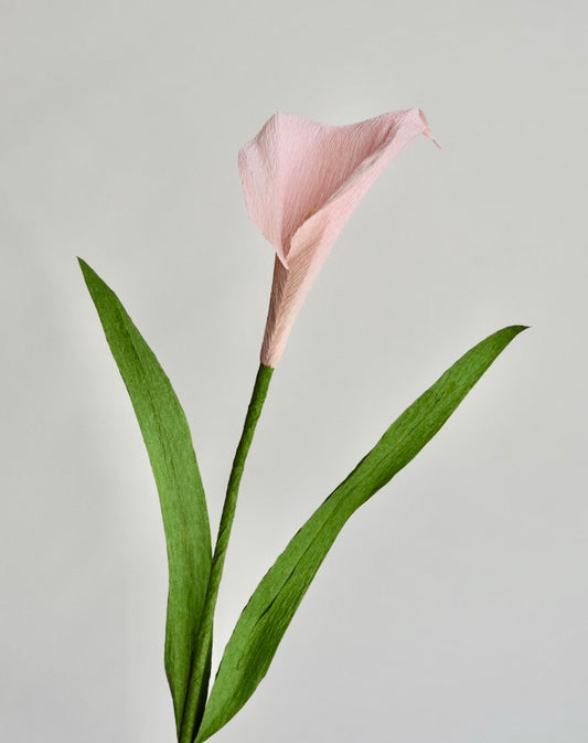 Calla Lily Single Stem | Handcrafted Paper Flower