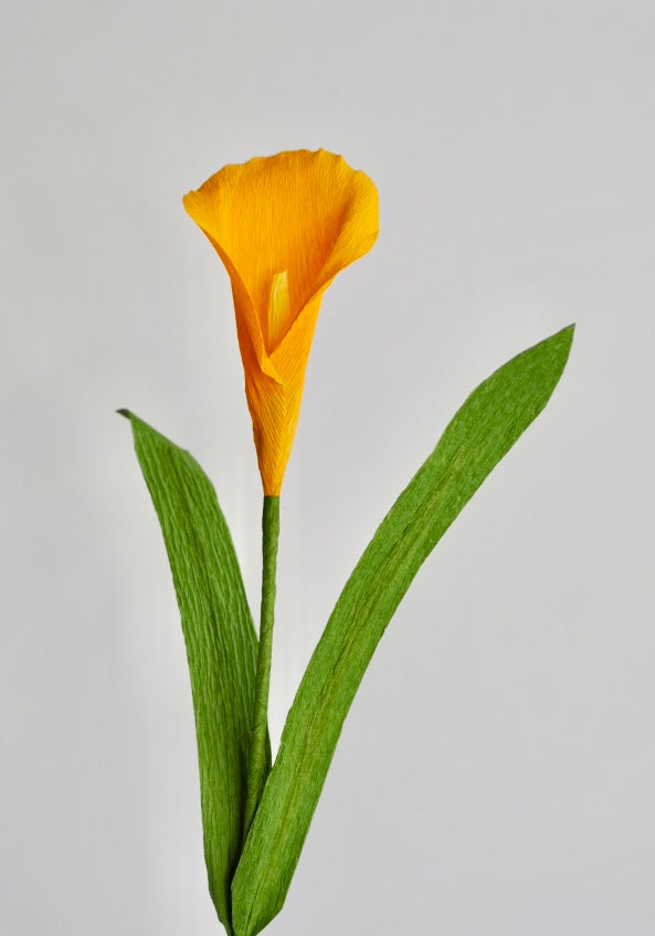 Calla Lily Single Stem | Handcrafted Paper Flower