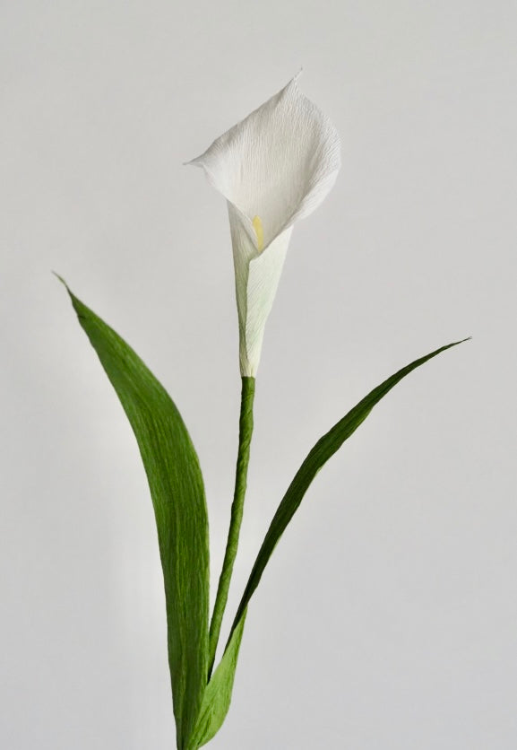 Calla Lily Single Stem | Handcrafted Paper Flower