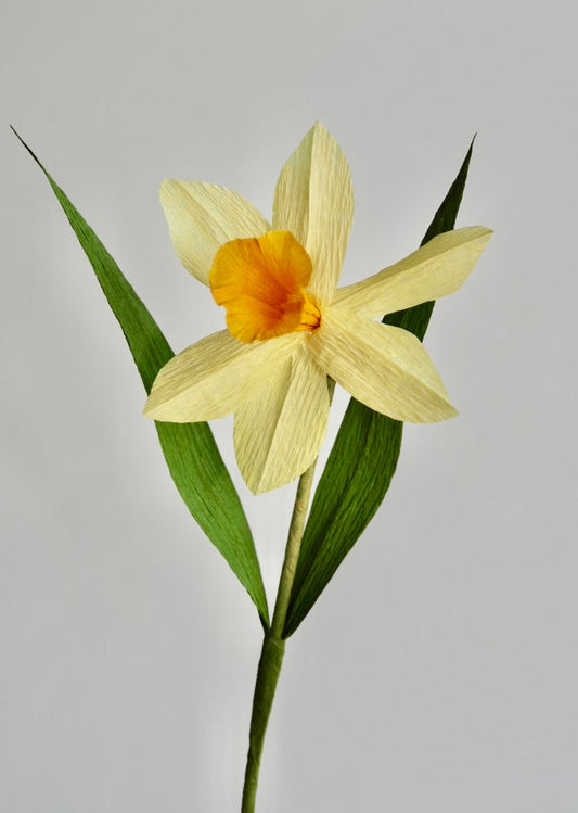Daffodil Single Stem | Handcrafted Paper Flower