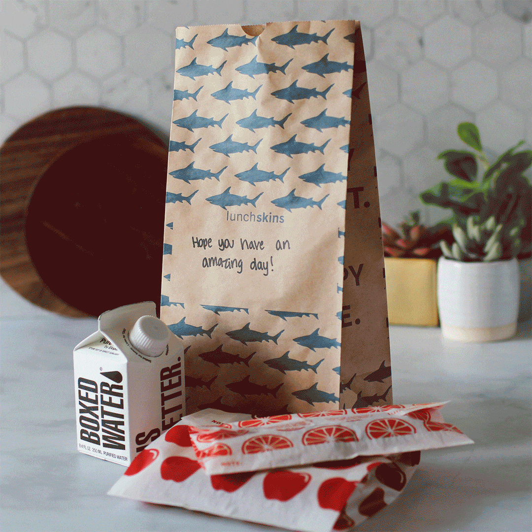 Compostable  Large Lunch Sacs
