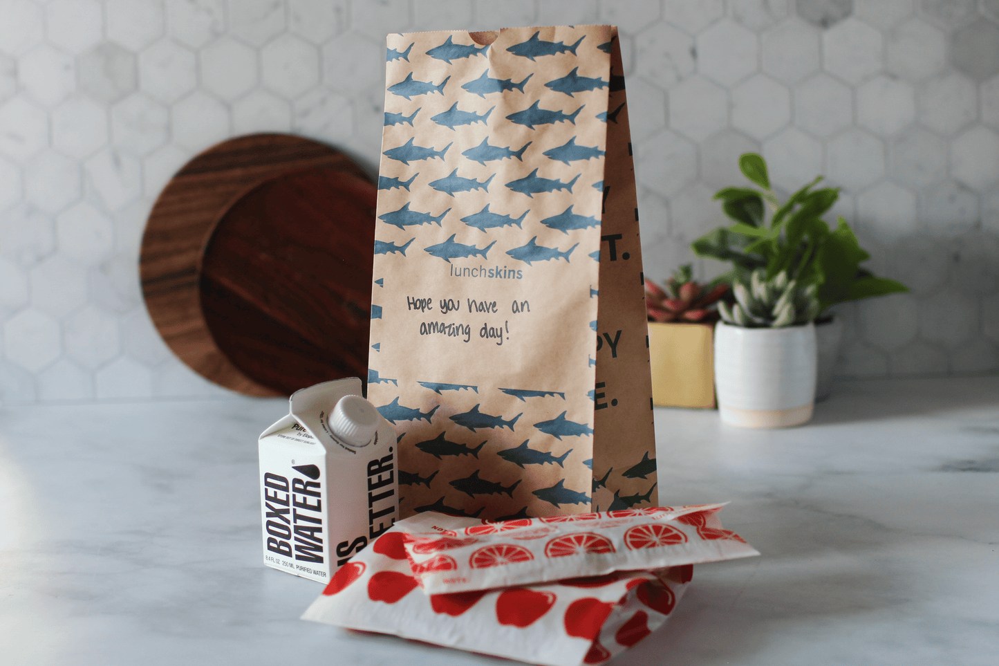 Compostable  Large Lunch Sacs