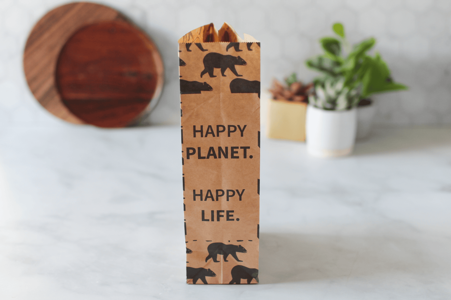 Compostable Paper Lunch Sacs Variety Pack