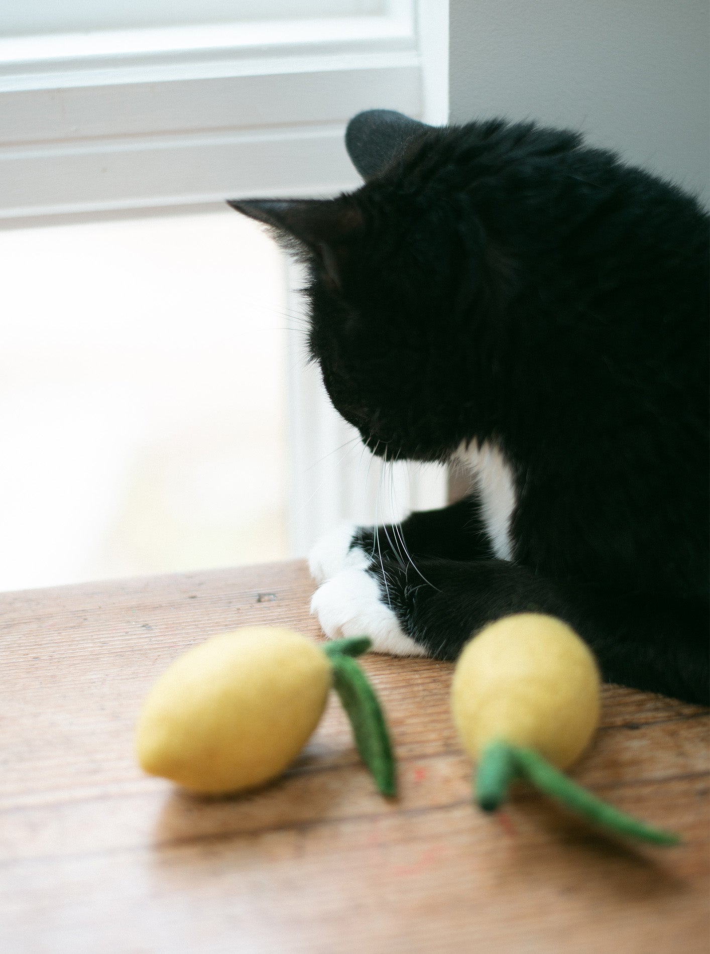 LEMON WOOL DOG & CAT TOY