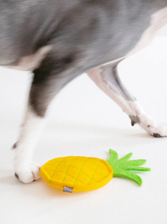 PINEAPPLE CATNIP TOY