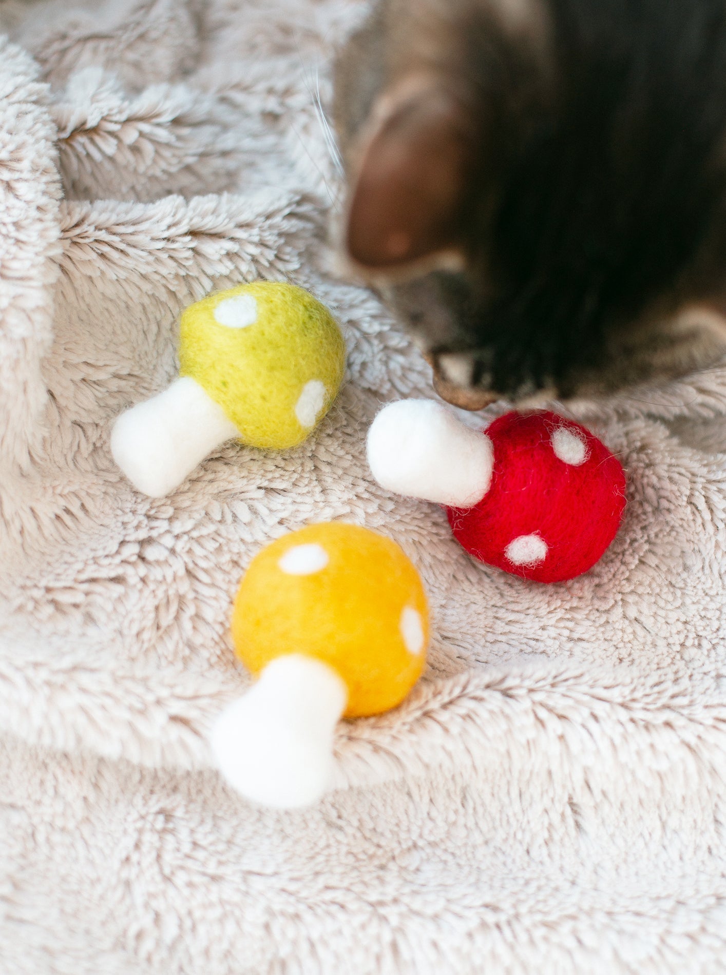 SHROOMS CAT TOY SET
