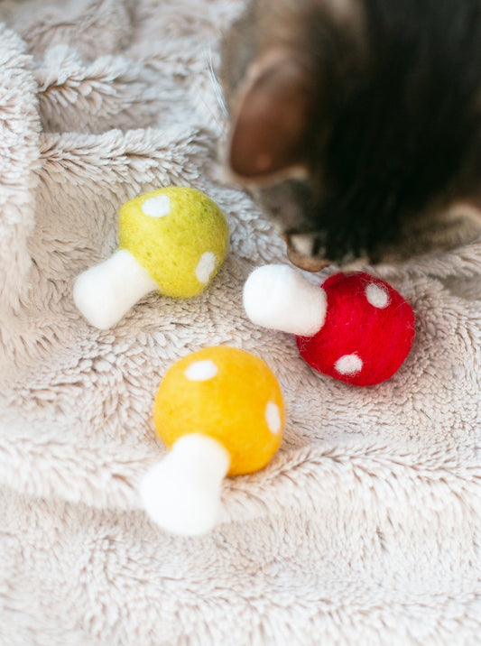 SHROOMS CAT TOY SET