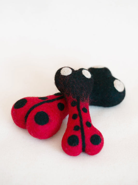 LADYBUG WOOLBONE DOG TOY