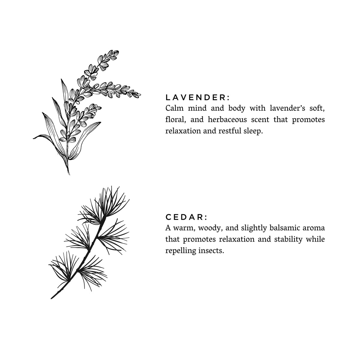 Lavender + Cedar Travel Tin Candle