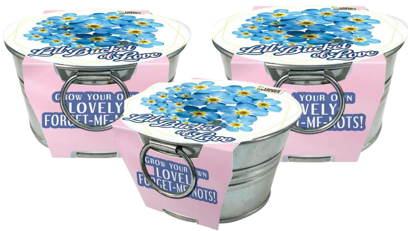 Lil' Bucket of Love - Grow Your Own Forget-Me-Nots Multipack of 3