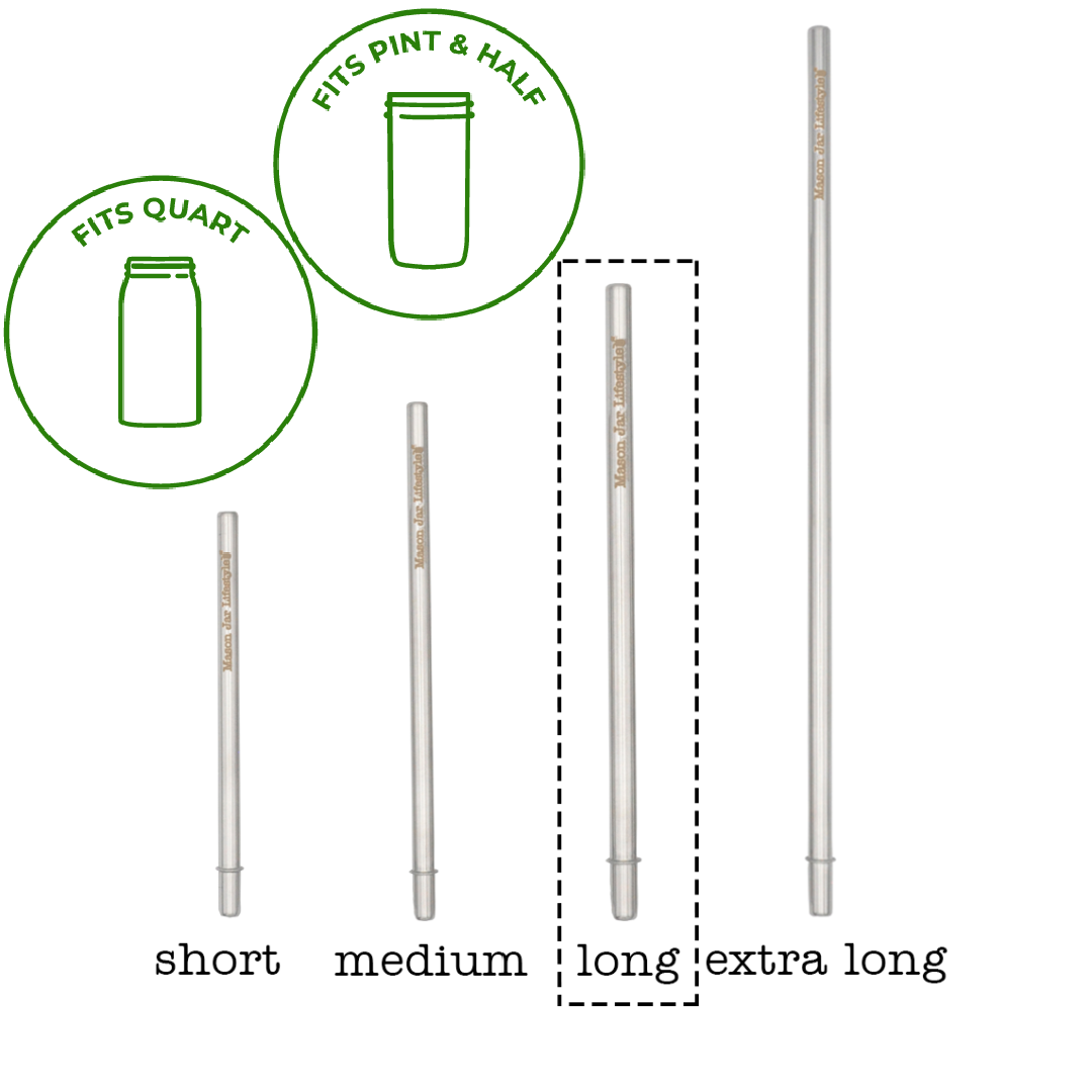 Individual Stainless Steel & Glass Straws for Mason Jars