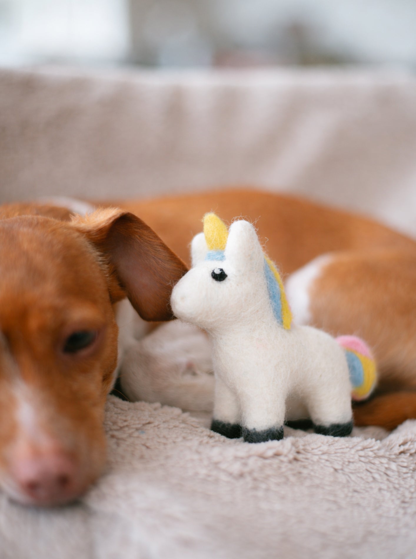 MAGICAL UNICORN from A Purposeful Rescue