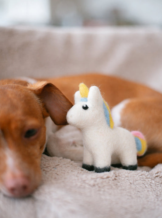 MAGICAL UNICORN from A Purposeful Rescue