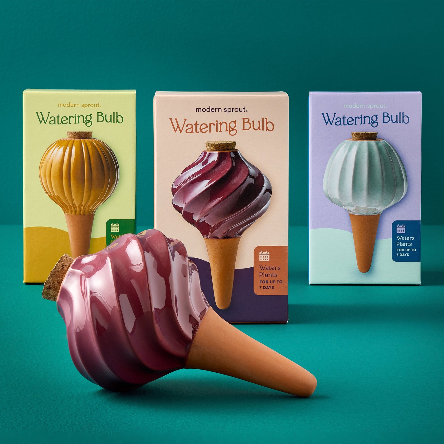 Terracotta Watering Bulbs