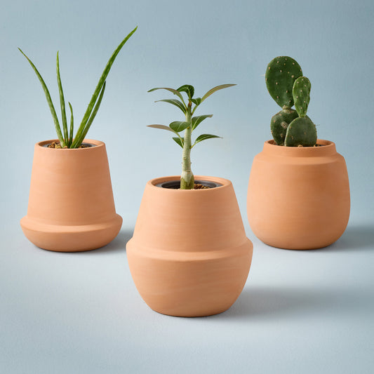 Modern Terracotta Grow Kits