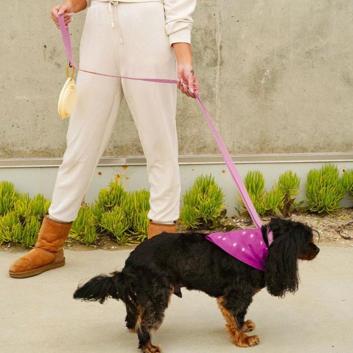 Malibu Sunset Sustainable Hemp Cotton Adjustable Dog Leash – Durable & Soft