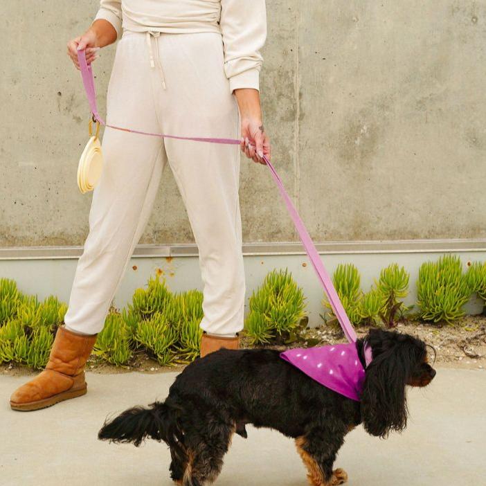 Malibu Sunset Sustainable Hemp Cotton Adjustable Dog Collar – Durable & Soft