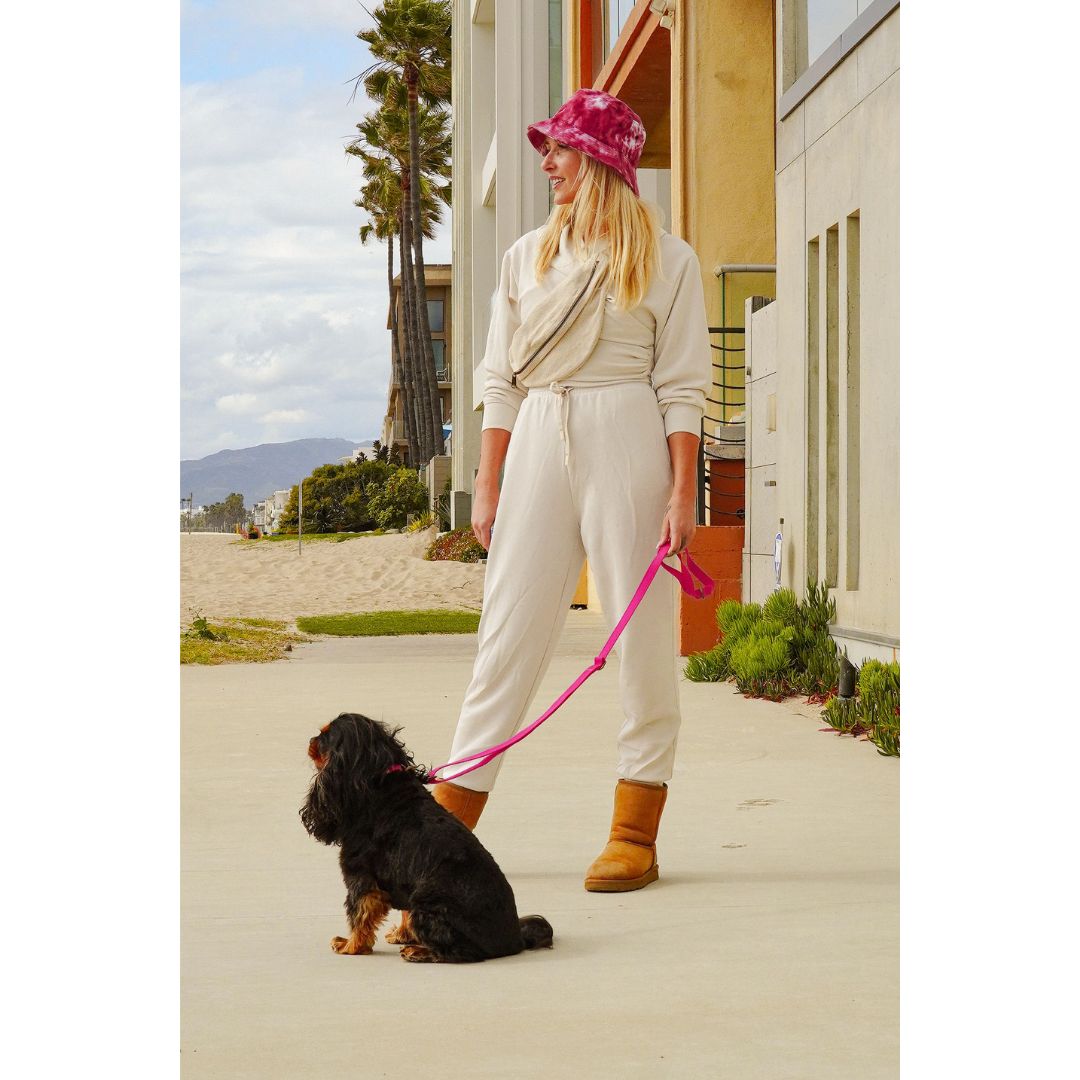 Malibu Sunset Sustainable Hemp Cotton Adjustable Dog Collar – Durable & Soft