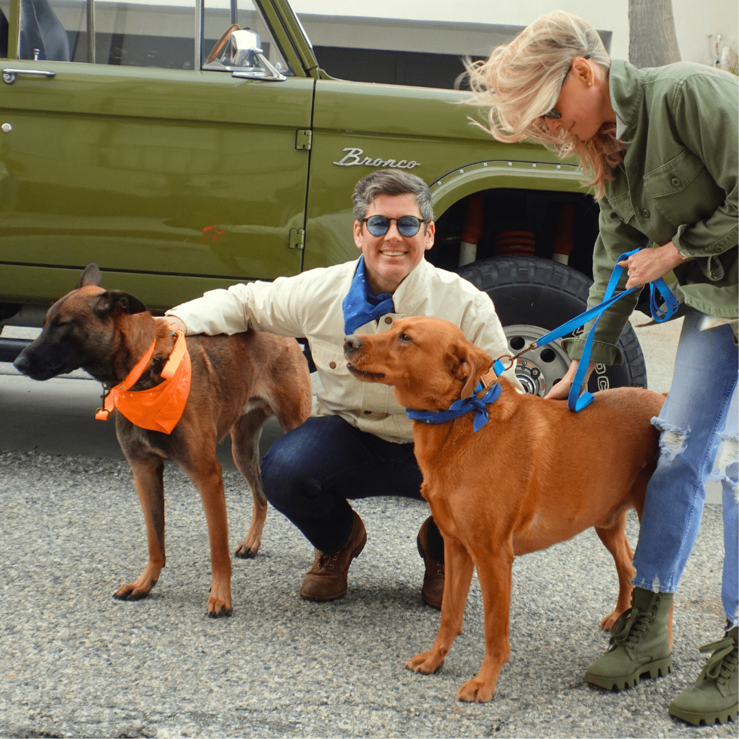 Malibu Sunset Sustainable Hemp Cotton Adjustable Dog Collar – Durable & Soft