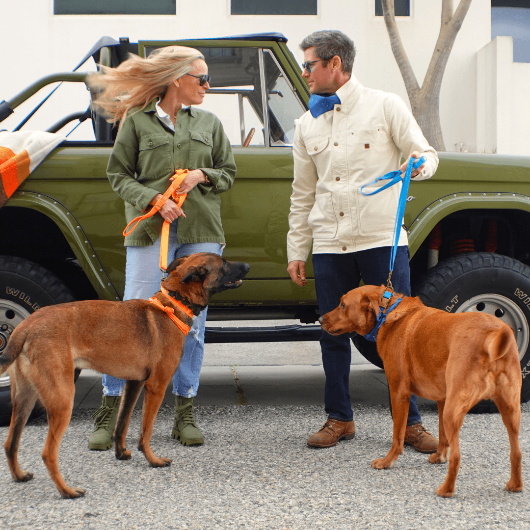 Malibu Sunset Sustainable Hemp Cotton Adjustable Dog Collar – Durable & Soft