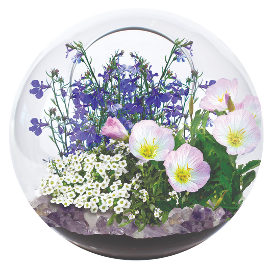 Fairy Triad Glass Terrarium Seed Starting Kit