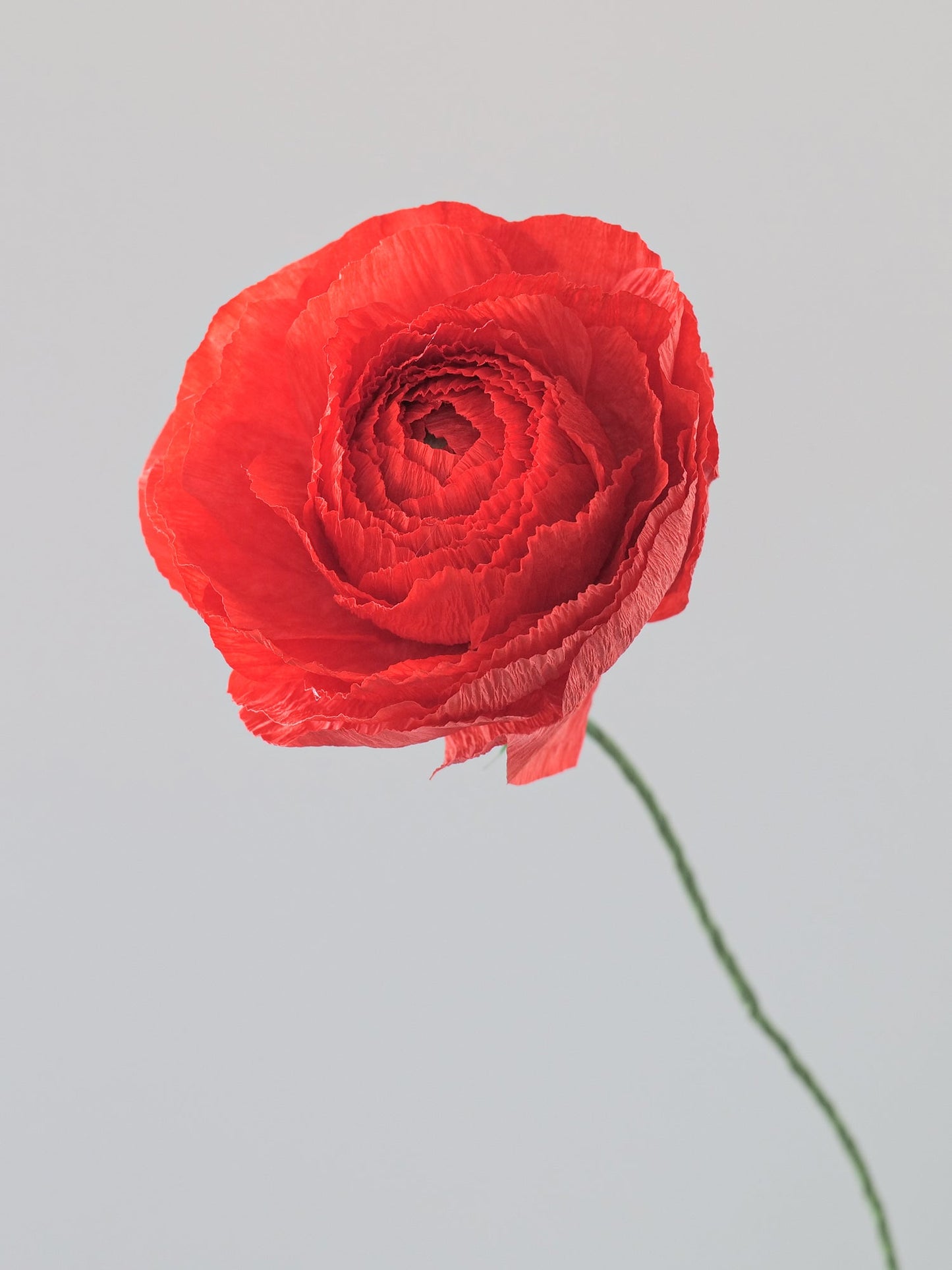Ranunculus Single Stem | Paper Flower Decor