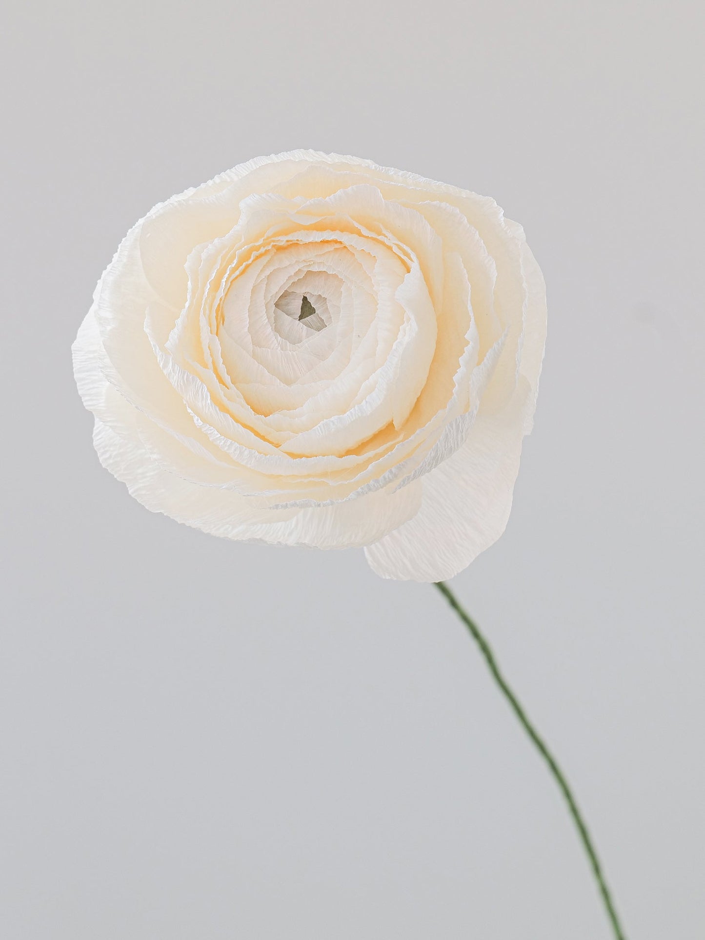 Ranunculus Single Stem | Paper Flower Decor