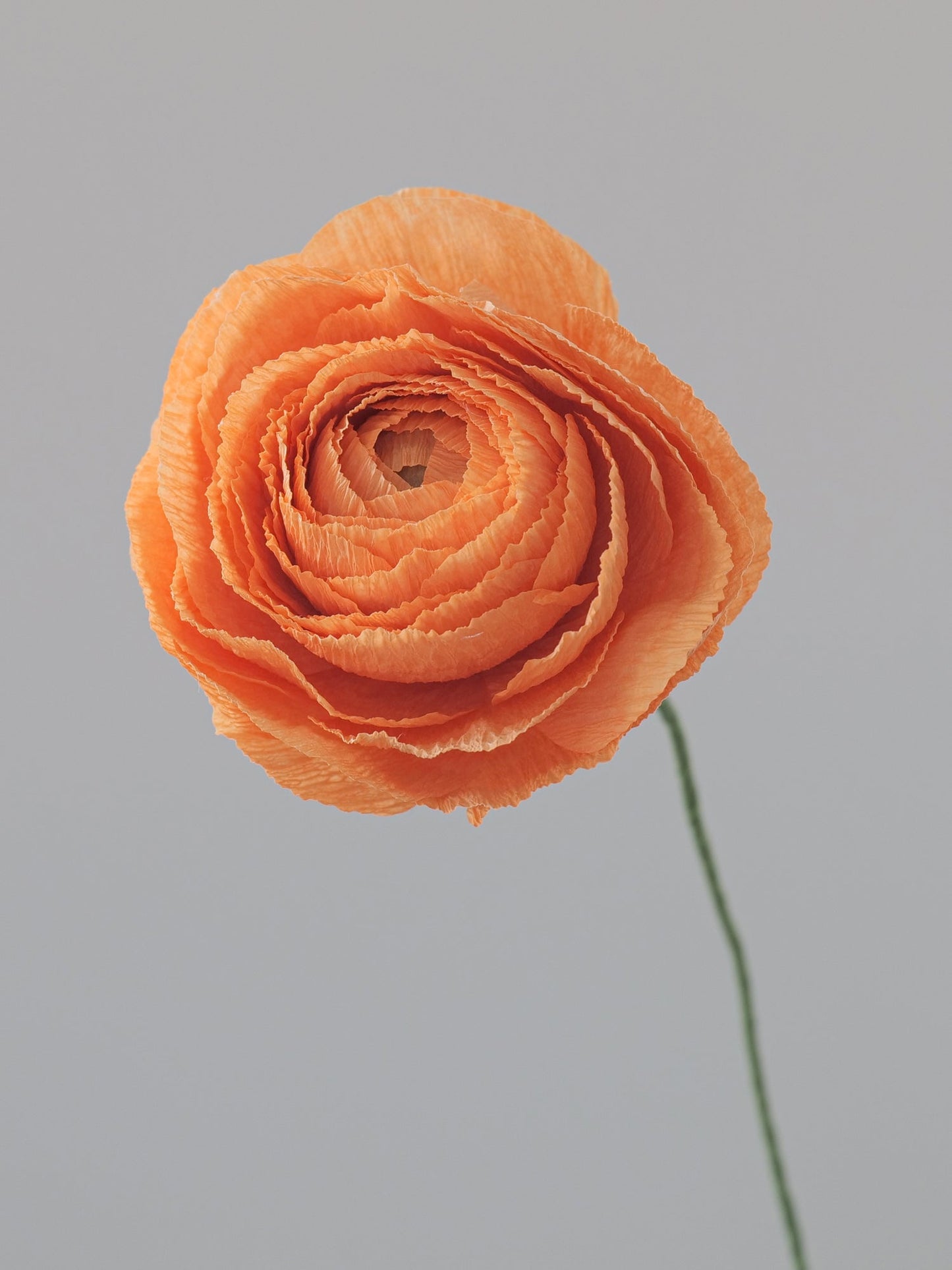 Ranunculus Single Stem | Paper Flower Decor