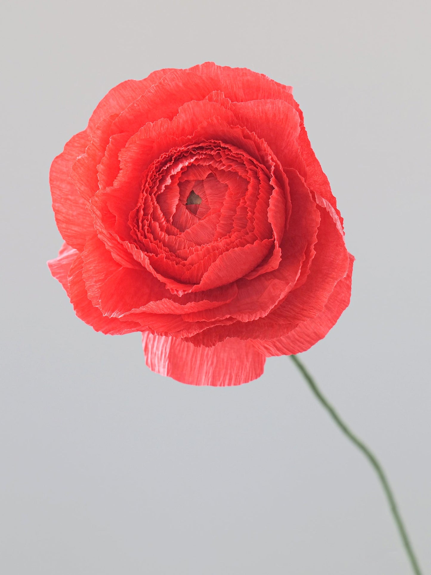 Ranunculus Single Stem | Paper Flower Decor