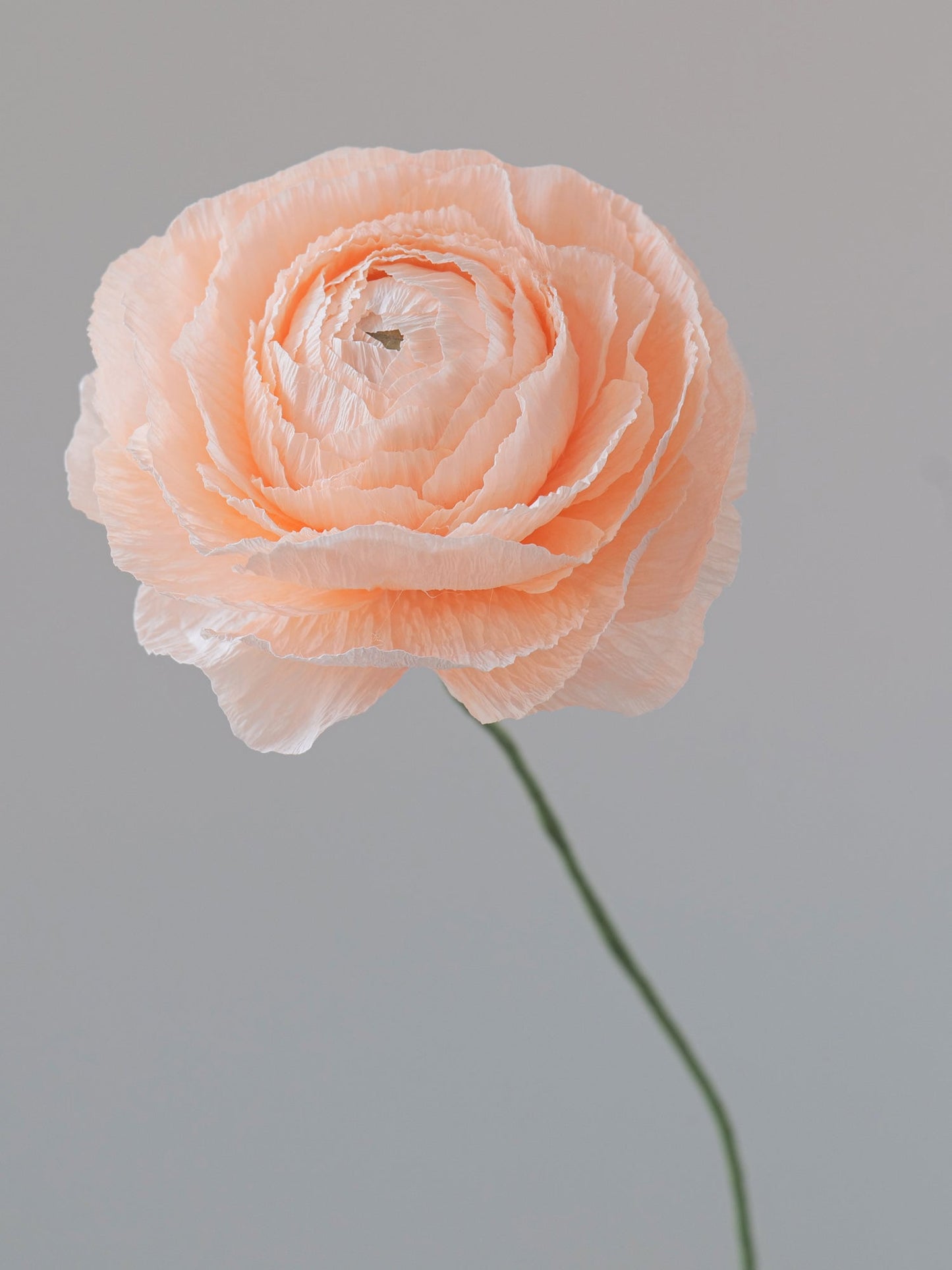Ranunculus Single Stem | Paper Flower Decor