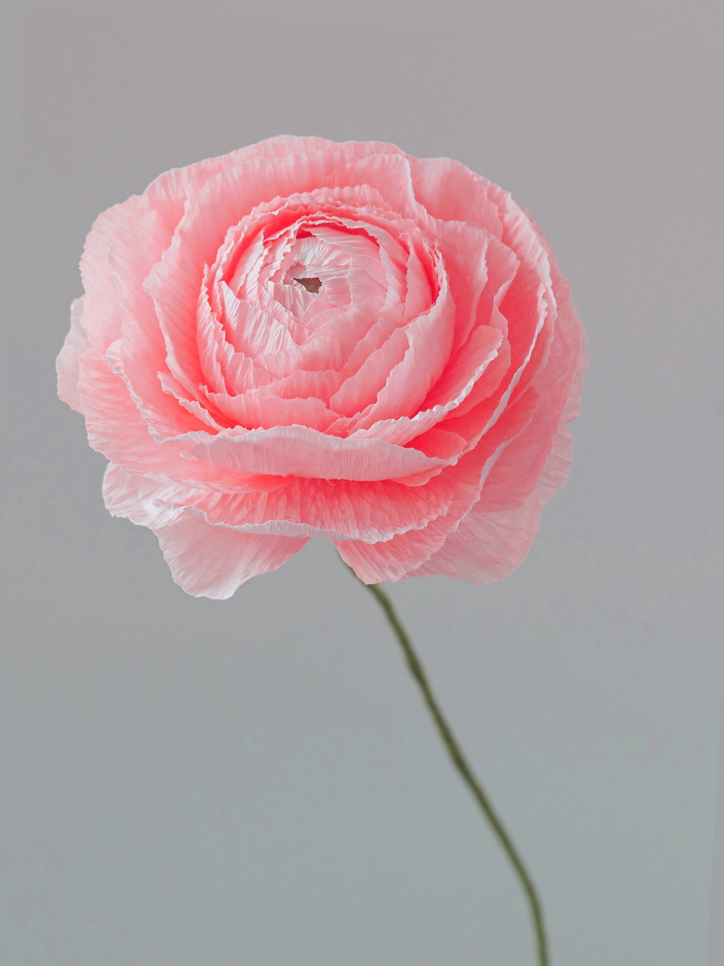 Ranunculus Single Stem | Paper Flower Decor