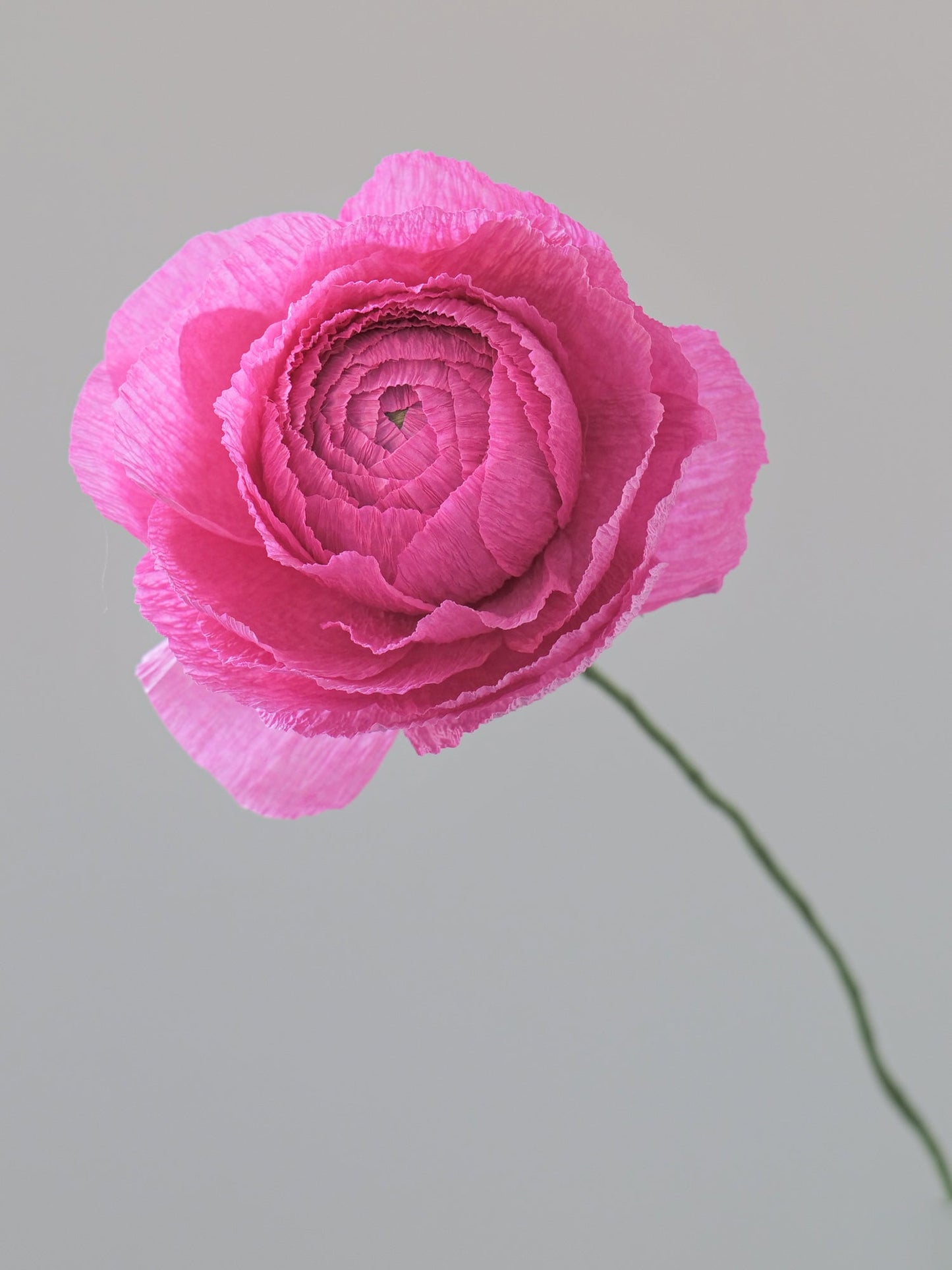 Ranunculus Single Stem | Paper Flower Decor